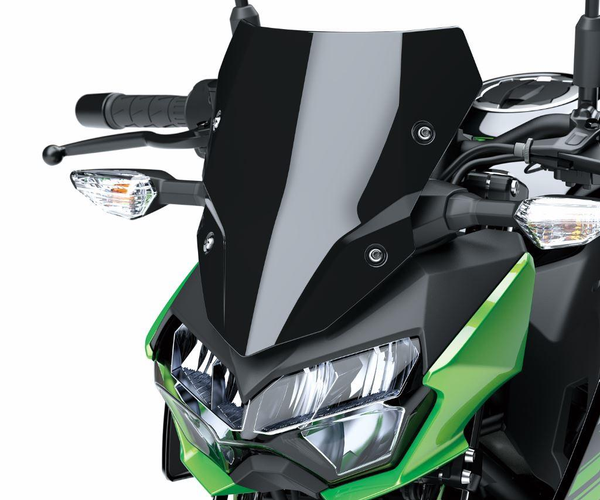 Grande bulle teintée (Z400)