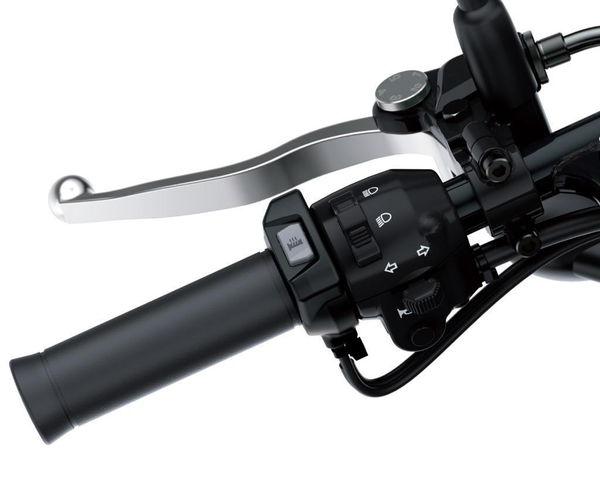 Poignées chauffantes (W800)