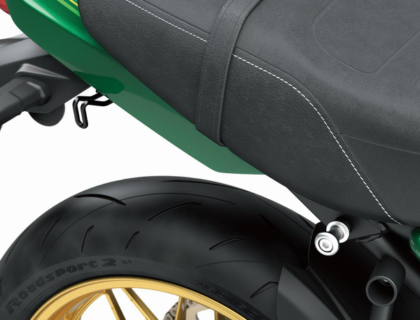 Gepäckbefestigungshaken (Z650RS)