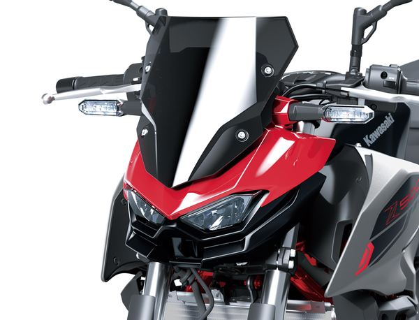 Grande bulle teintée (Z500)