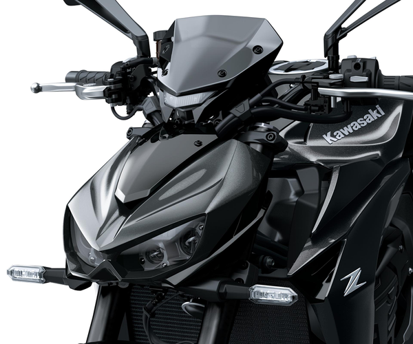 Grande bulle teintée (Z1100/SE))