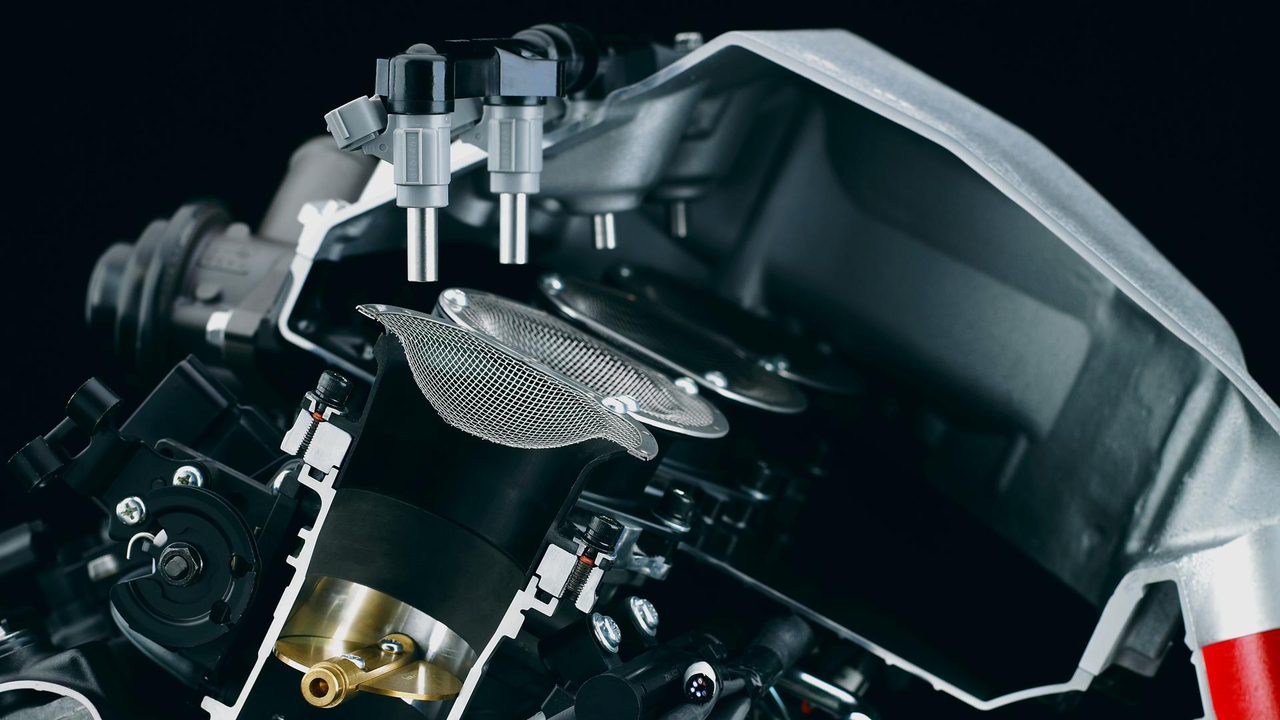 Commande électronique des gaz 