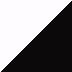 Pearl Flat Stardust White / Metallic Flat Spark Black