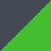 Metallic Flat Anthracite Black / Candy Flat Blazed Green