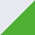 Metallic Bright Silver / Metallic Matte Lime Green (SL1)